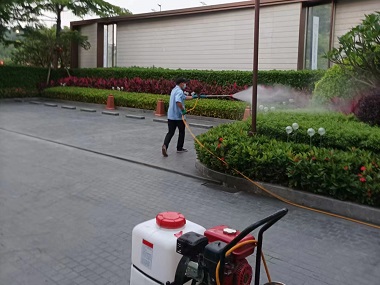 南岗病媒生物防控——蚊蝇防治有效预防基孔肯雅热