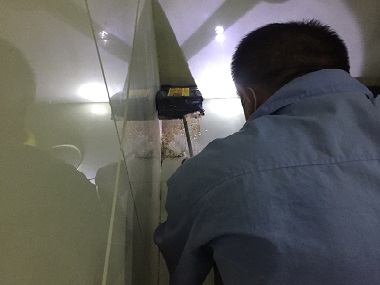 黄埔白蚁预防公司益伦专业灭白蚁，上门消杀更省心
